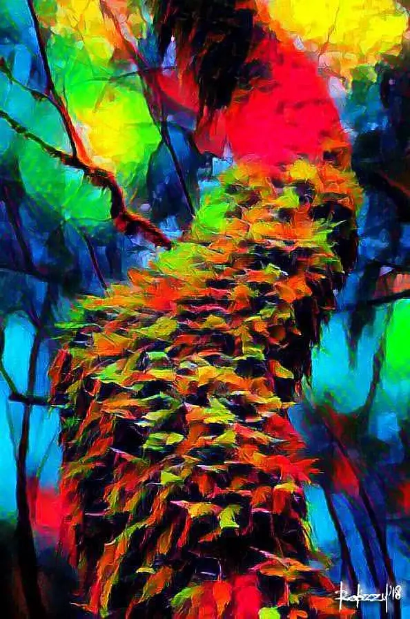 Robert Żurman - TERRA (Ex.5)