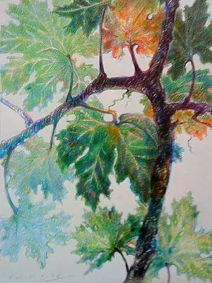 Marek Kubski - LEAVES