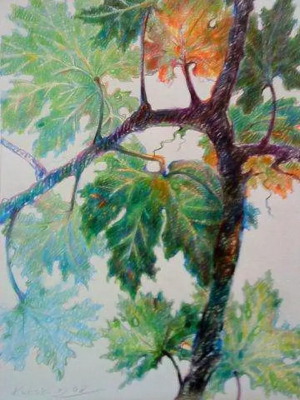 Marek Kubski - LIŚCIE