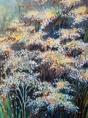 Marek Kubski - MEADOW