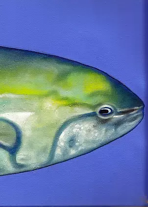 Padovani Nicolas - THON VERT