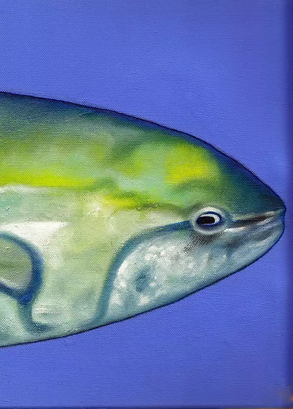 Padovani Nicolas - THON VERT