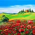 Radosław Popek - TUSCANY - field of poppies