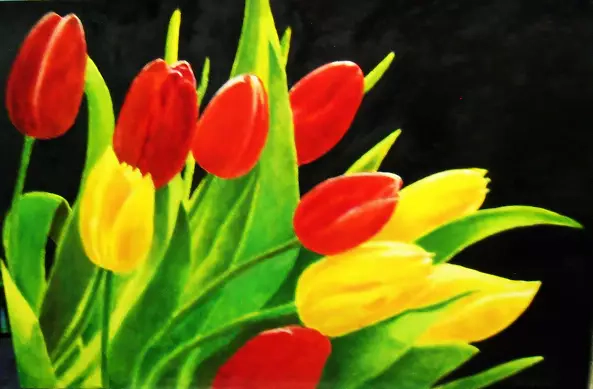 Zenon Różycki - TULIPS