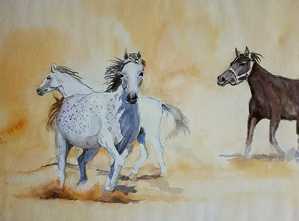 Zdzisław Rutkowski - Tabun