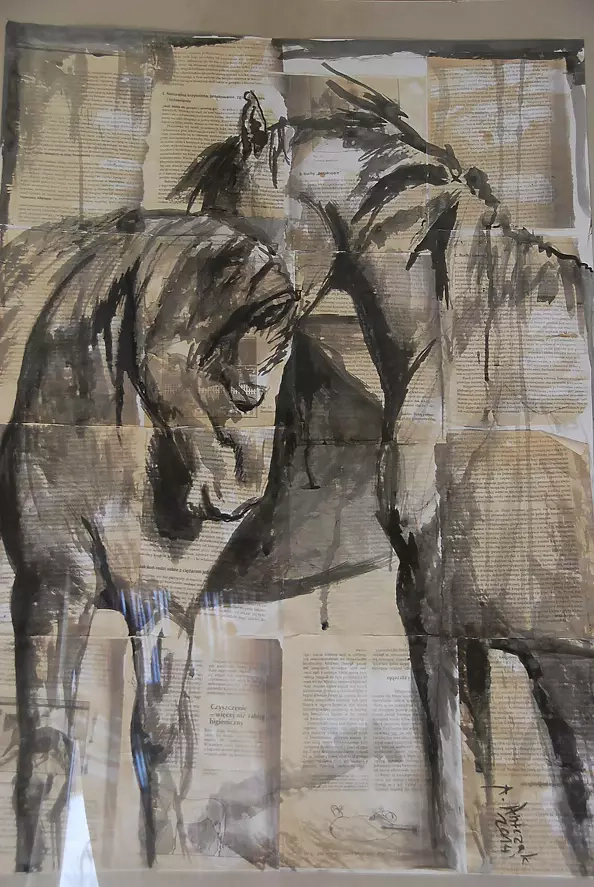 Agnieszka Antczak - The secret of horses in the pasture