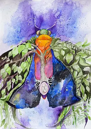 Adriana Laube - Mystery mysteries