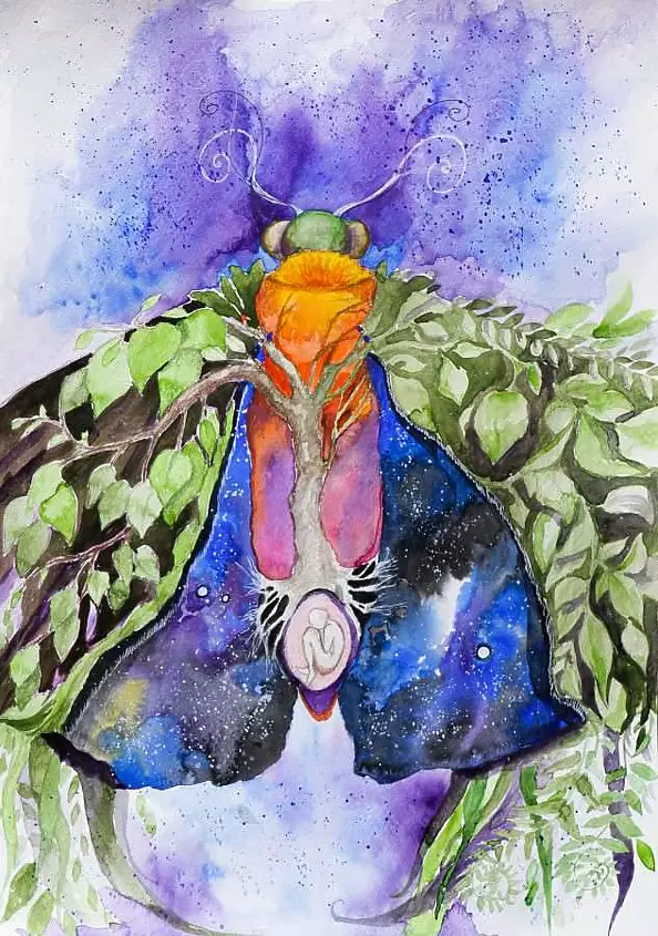 Adriana Laube - Mystery mysteries