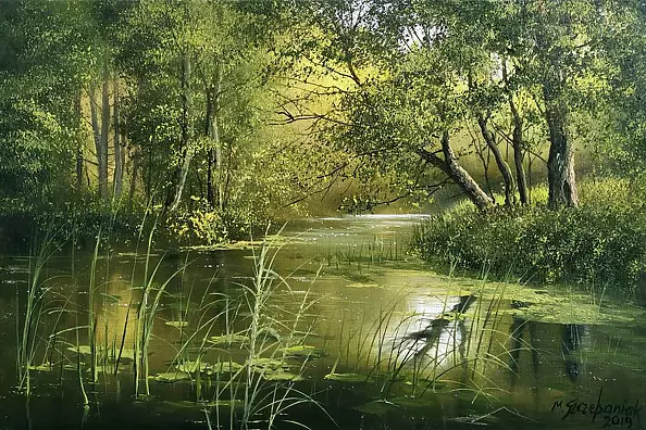 Marek Szczepaniak - Tajemniczy zakątek