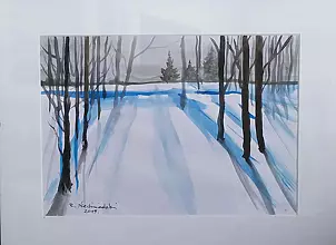 Ryszard Niedźwiedzki - So ein Winter