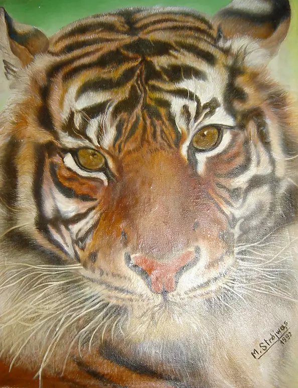 Marek Strójwąs - Such se male