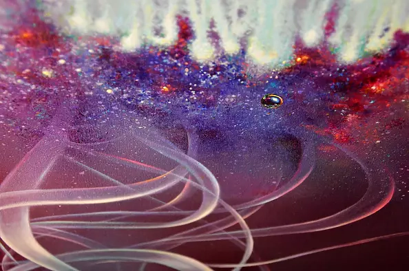 Agnieszka Osak - Tańczące Światło