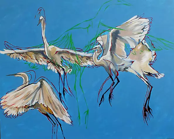 Dorota Iwona Kaminska - Tańczące Zurawie