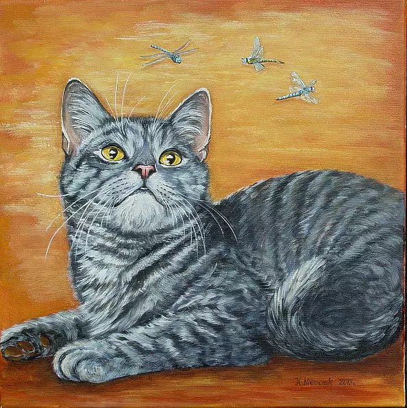 Katarzyna Niemczak - dancing dragonflies