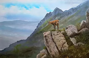 Marek Szczepaniak - Tatry - Kozica