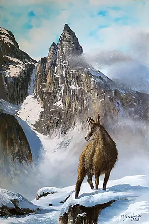 Marek Szczepaniak - Tatra - Kozica