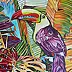 Joanna Szumska - Rainbow toucan