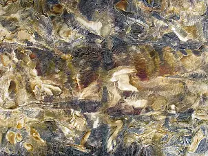 Iwona Joanna Ostaszewska - Terra