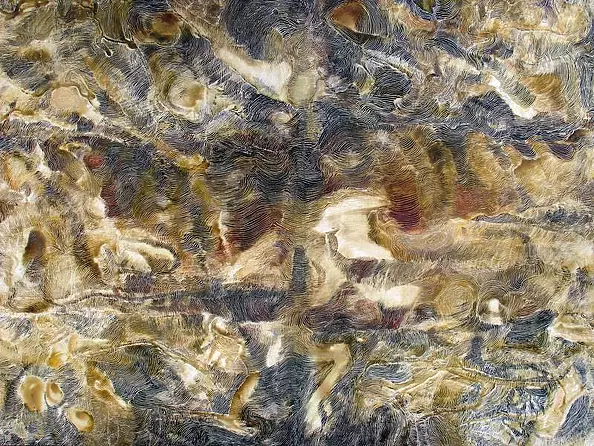 Iwona Joanna Ostaszewska - Terra