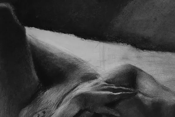 Kamila Ossowska - Tęsknota