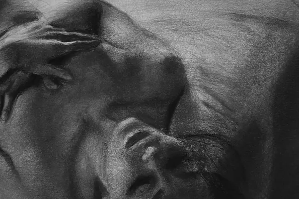 Kamila Ossowska - Tęsknota