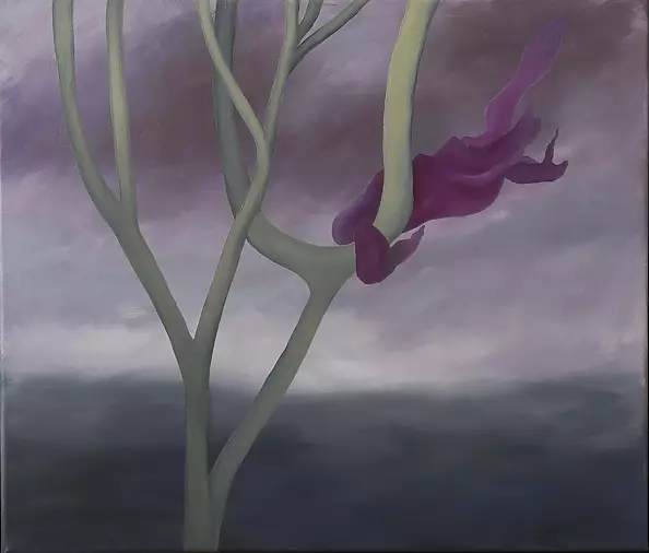 Olka Cała - Longing for Jadwiga