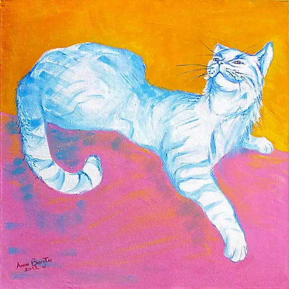 Anna Baryła - That darn cat