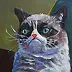 Grzegorz Wójcik -  The Animals:  GRUMPY CAT