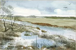 Zdzisław Rutkowski - Rzeka Biebrza wczesną wiosną