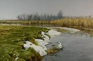 Wojciech Górecki - Biebrzańskie climates