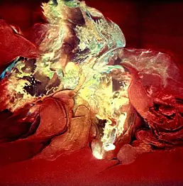 Anna Maria Dudyńska - The Carmen