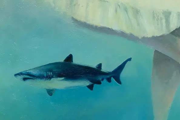 Mariusz Krzysztof Aniśko - The Dance