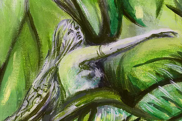 Mariusz Krzysztof Aniśko - The Dream