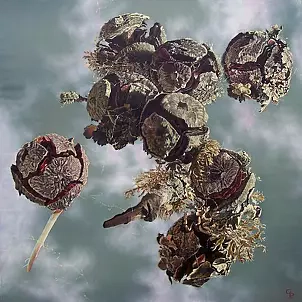 Pelizzari Gregory - The Great Escape