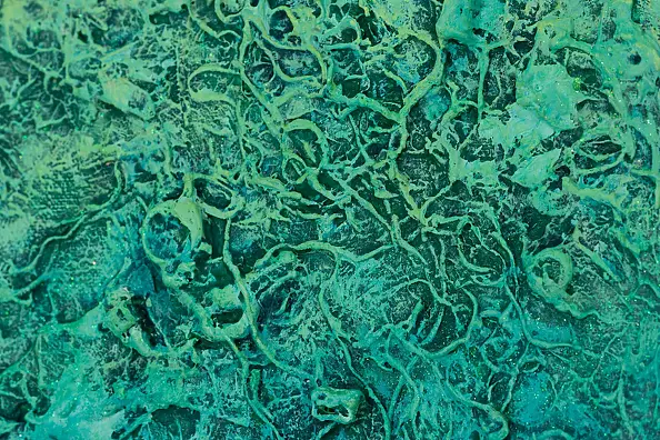 Pamela Rys - The Grounding