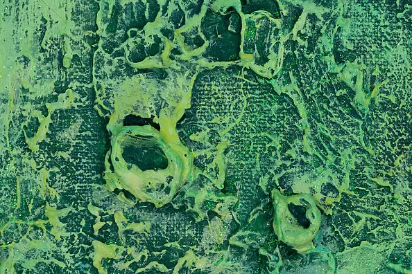 Pamela Rys - The Grounding