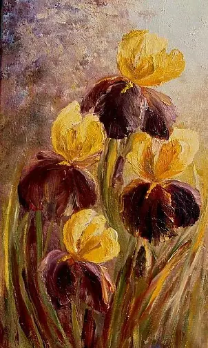   - Irises