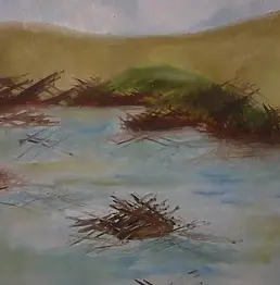 Stefania Cappelletti - Last sinking