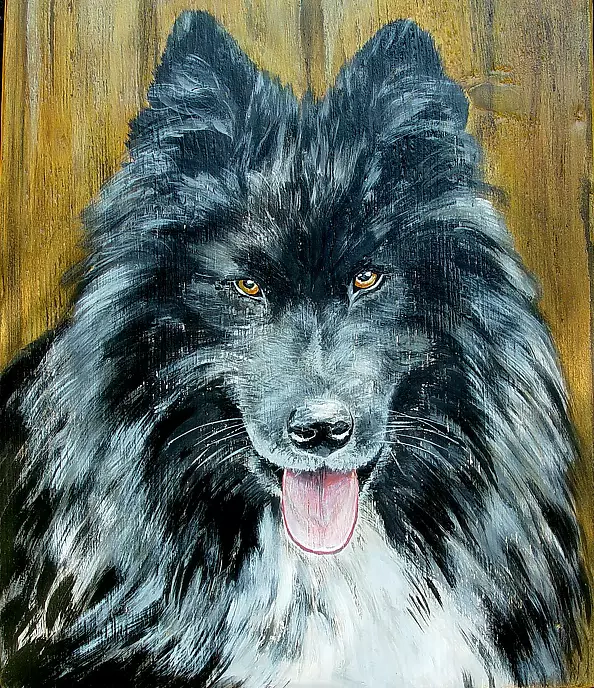 Katarzyna Niemczak - Magic look