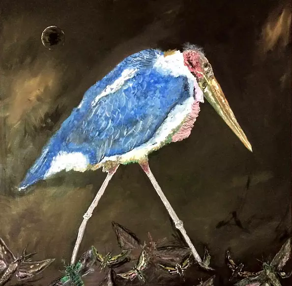 Artur Cieślar - The Marabou - Eclipse