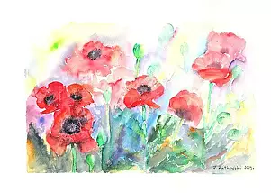 Zdzisław Rutkowski - Maki