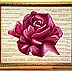 Yuliya Strizhkina - The Rose with aphorisms in Latin, volume oil painting (3D)