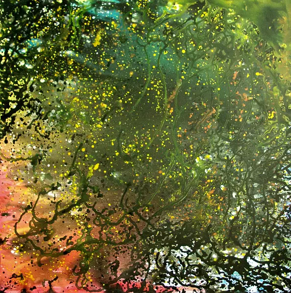 Rozalia Nowak - universe II