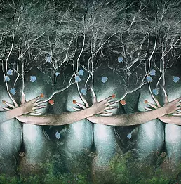 Alessandro Gambetti - Las truskawek