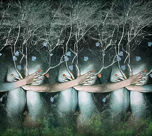 Alessandro Gambetti - Las truskawek