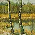 Wojciech Górecki - Brzozy w Golubiu Kaszubskim