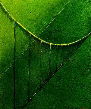 Tadeusz Gazda - Most