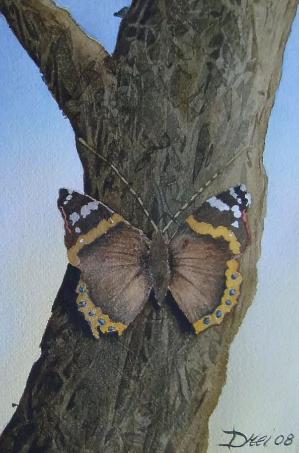 Silvano Drei - Butterfly with a trunk