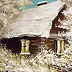 Małgorzata Mutor - Cottage in January