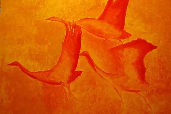 Joanna Rosowska - Żurawie